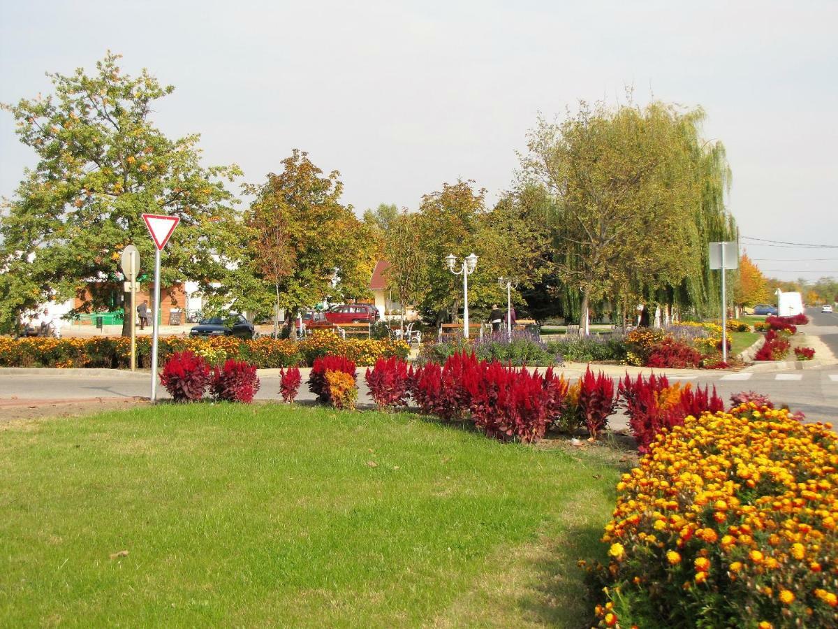 Csemo Platan Vendeghaz 아파트 외부 사진
